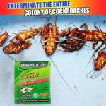 Cockroach Killing Bait Powder (5 pcs) - Image 2
